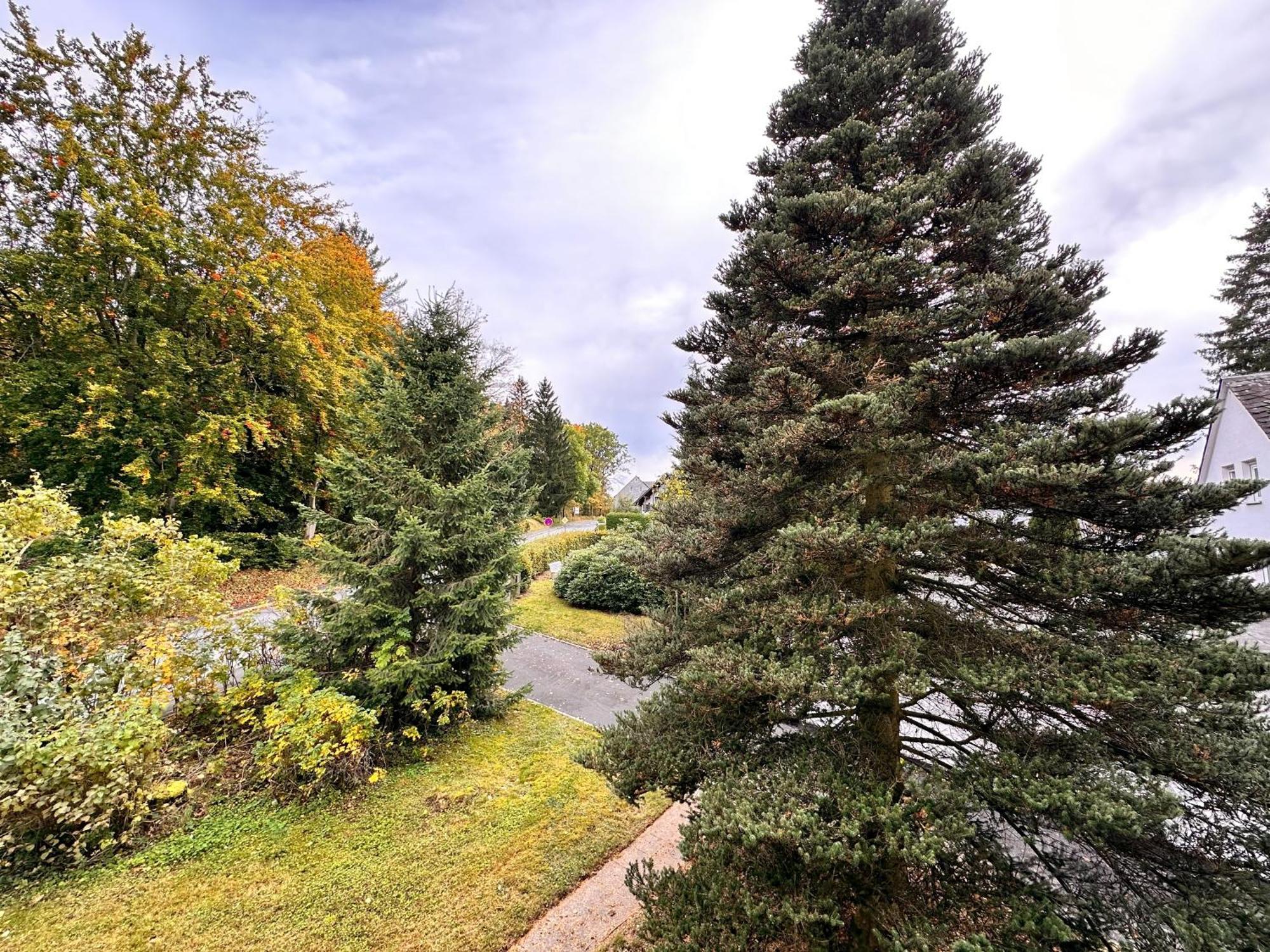 Pension Zum Loewen, Parkplatz, Fruehstueck, Wlan, Zentral 巴特施泰本 外观 照片